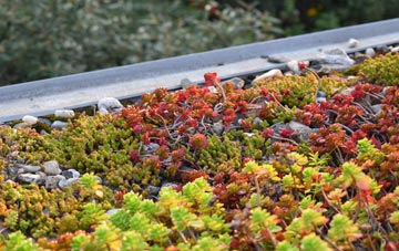 the cost of Wappenham green roof installation